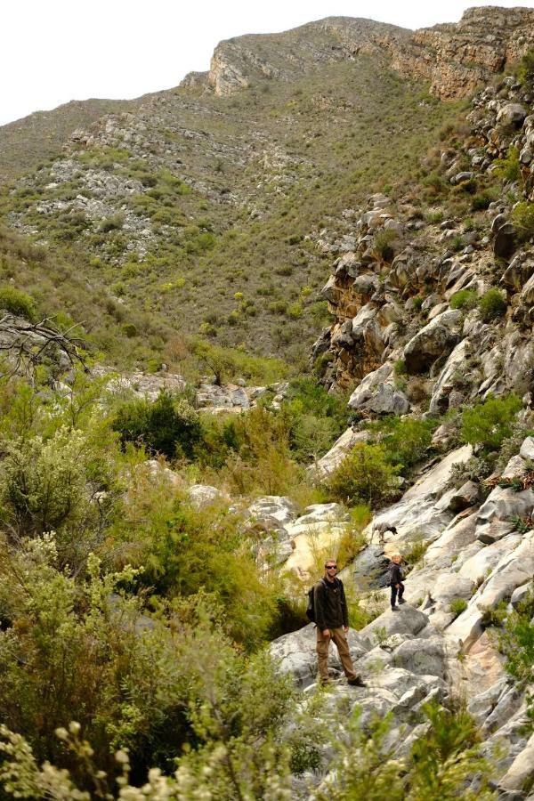 Kingfisher Cottages, Langhoogte Farm Montagu Bagian luar foto